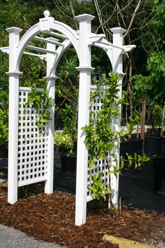 Arbor Replacement in Kansas City, KS