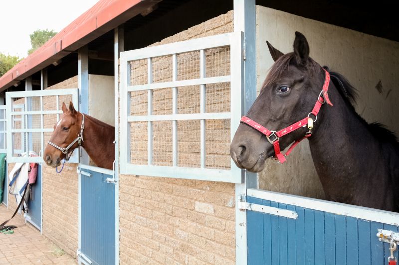 Horse Stall Repair in Alpharetta, GA