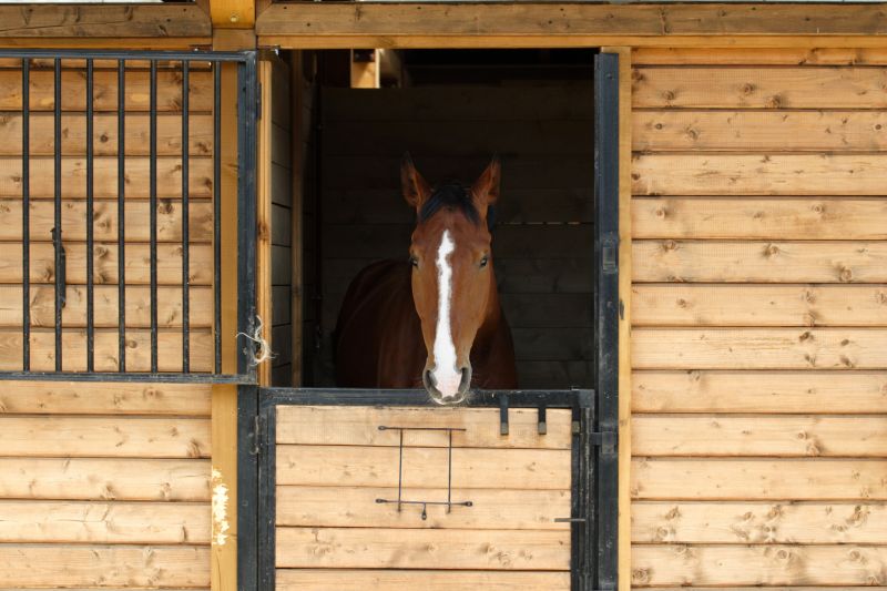 Horse Stall Repair in Wilmington, NC
