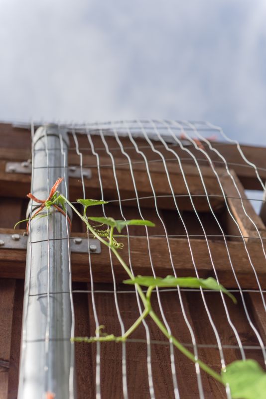 Trellis Construction in Kansas City, KS