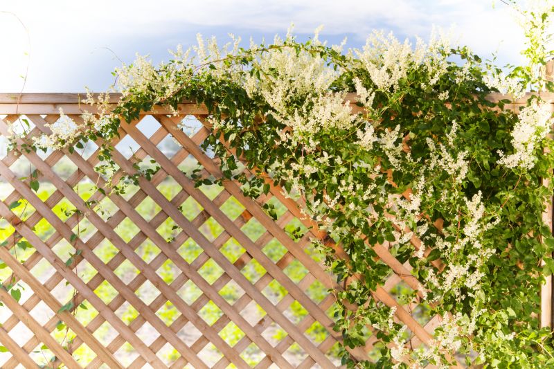 Vineyard Trellis Installation in Wilmington, NC