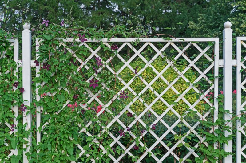 Vineyard Trellis Installation in Kansas City, KS